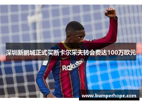 深圳新鹏城正式买断卡尔采夫转会费达100万欧元 深圳新鹏城正式买断卡尔采夫转会费达100万欧元