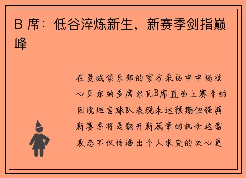 B 席：低谷淬炼新生，新赛季剑指巅峰